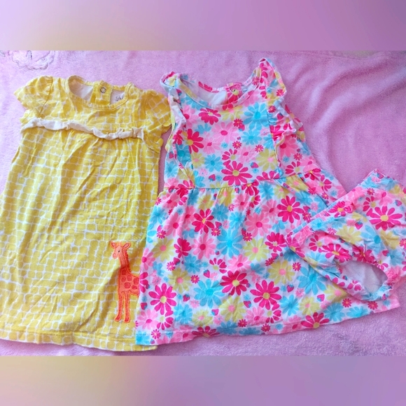 Carter's Other - Bundle of 2 dressses 24Months